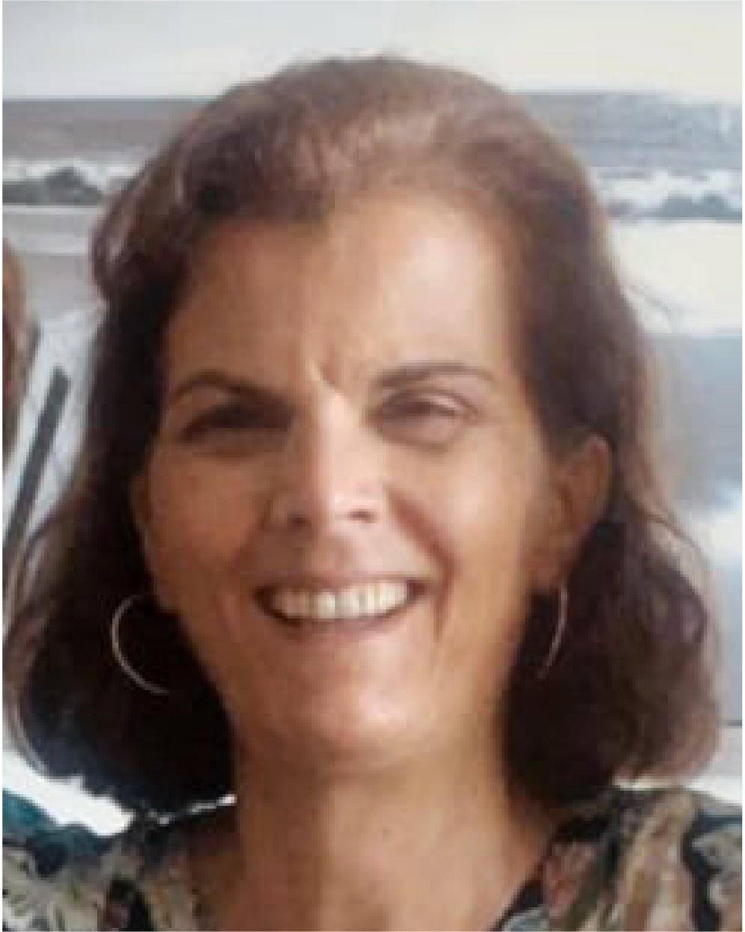 María Lourdes Brito González